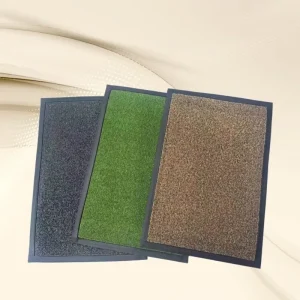 Entrance Door Mat, Anti-Slip, Dust-Removing, Dirt-Resistant, Ash, with Changing Insole