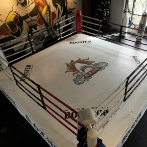 F5204 Boxing Ring, High-Strength Steel Frame