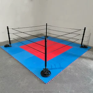 FPR Portable Mini Boxing Ring