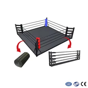 Factory 3m x 3m Folding Outdoor Boxing Ring for Kids, Portable Mobile Competition Ring