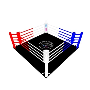 Factory 6m x 6m Floor Boxing and Wrestling Ring for MMA