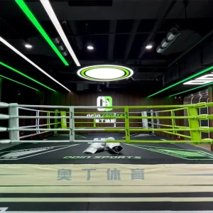 Factory Collapsible Boxing Ring for Gym Training and Competition