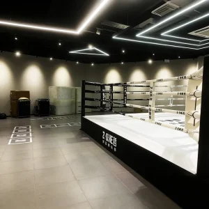 Factory Collapsible Boxing Ring for Gym Training and Competition