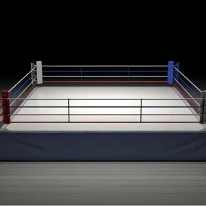 Factory Custom Foldable Boxing Ring Gym Equipment for Martial Arts and MMA