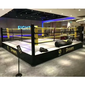 Factory Custom Logo 16 ft x 16 ft Wrestling and Boxing Ring