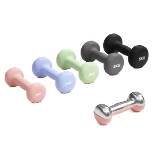 Factory Custom Logo Portable Round 1-5kg Dumbbells Set Solid Cast Iron Hand Weights for Women Gym Fitness