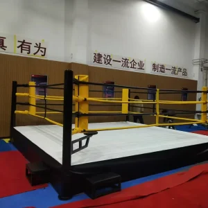 Factory Direct Custom Logo MMA Square Fight Ring, IBF Standard Boxing Competition Training, Portable Stainless Steel