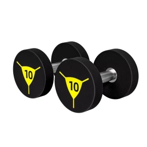 Factory Direct Supply Gym Round-Head Dumbbell Set for Power Training and Weight Lifting