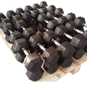 Factory Directly Gym Coated Cast Weights Power Training Rubber Dumbbell Set