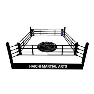 Factory Elevated Boxing Ring with White Canvas for Kickboxing