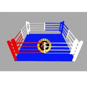 Factory Floor-Type Boxing Ring for Club Training, 4m x 4m, 5m x 5m, 6m x 6m