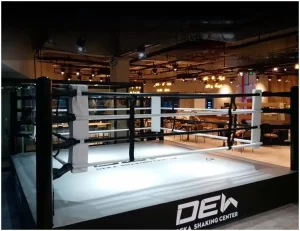 Factory Folding 16ft MMA Boxing Ring with Canvas and Platform