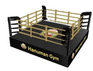 Factory Muay Thai Boxing Ring for MMA Training and Wrestling Ring Rental