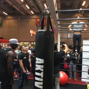 Factory PU Boxing Punching Bags with Custom Logo for Adult Gym Training