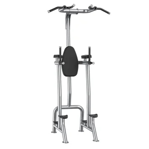 Factory Price Commercial Gym Fitness Equipment Strength Training Machine Vertical Knee Raise Dip