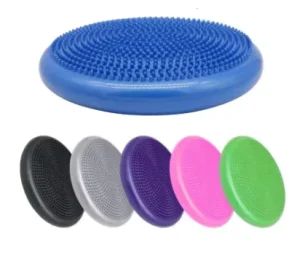 Factory Supply Massage Balance Disc Cushion Customized Circle Pad