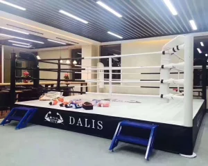 Factory Wrestling AIBA-Approved Used Inflatable Boxing Ring