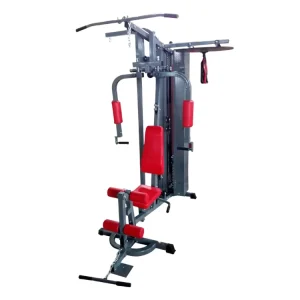 Family Three Person Gym Strength Training Multifunctional Fitness Station