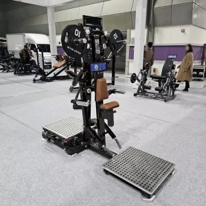 Fitness Equipment Strength Machine Body Building Fitness Equipment Lateral Raise Rear Deltoid