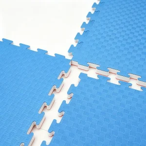 Five Line EVA Foam Mat 100x100cm Non-Slip Shock-Absorbing Waterproof Interlocking Gym Floor Tiles Factory