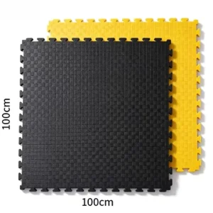 Five Line EVA Foam Mat 100x100cm Waterproof Non Slip Shock Absorbing Gym Floor Tiles Interlocking OEM