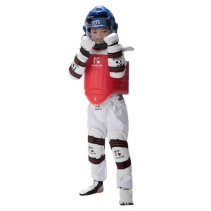 Five Piece Taekwondo Protector Chest leg arm Helmet and Crotch Guard Wtf Taekwondo protection