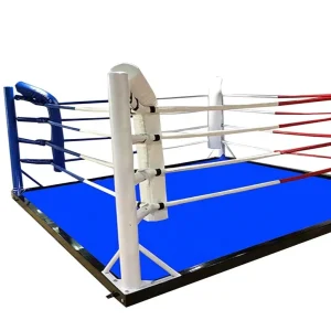 Floor Boxing Ring