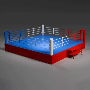 Floor Boxing Ring