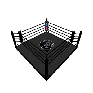 Foldable 5x5m Black Ground-Type Boxing Ring with Ropes for Kids and MMA Exercise