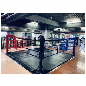 Foldable Unfoldable Taekwondo Wrestling Judo Easy Assemble and Disassemble Floor Boxing Ring