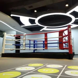 Folding Boxing Ring