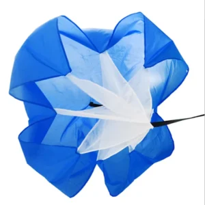 Football Soccer Speed Resistance Umbrella, 48 Inch Polyester/Nylon, with Carry Bag