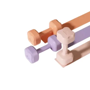 Four Leaf Clover Shaped Cement Hand Weight ABS Dumbbells Home Gym Equipment for Women