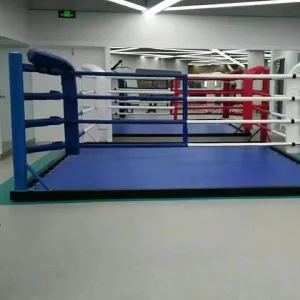 Full-Size Boxing Cage with Elevated Octagon Design and Side Platform for MMA Training