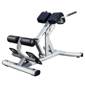 Gym Fitness Equipment Strength Training Machine Back Extension Roman Chair