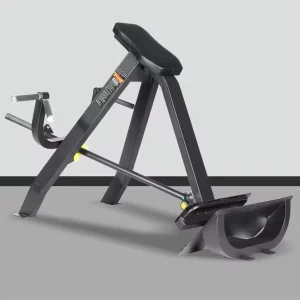 HC-2629 T-Bar Horizontal Lat Pulldown and Rower, Iron, Home Use