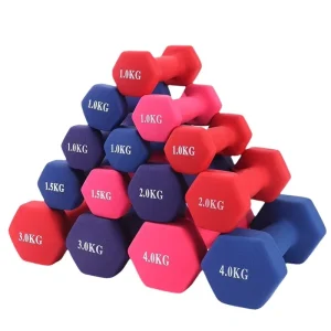 Handle Dumbbell Pair Cast Iron Dumbbells for Arms and Body Workout Durable Adjustable Anti Slip Fitness Equipment