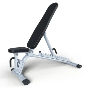 Heavy-Duty Commercial Adjustable Multi-Position Dumbbell Bench