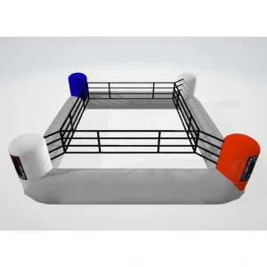 Heavy Duty Vinyl Quick Inflation Inflatable Boxing Ring with Safety Ropes for Boxing Training