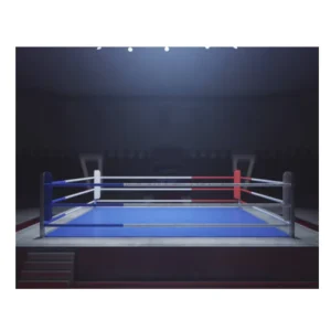 Heavy-Gauge Structural Steel Square Boxing Ring Cage Customized Logo Boxing UFC Wrestling Kick