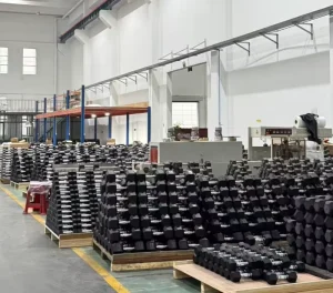 Hex Rubber Coated Dumbbell for Commercial Strength Training