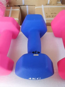 Hexagonal Anti-Rolling Anti-Slip 10KG Dumbbell Set
