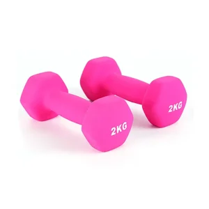 Hexagonal Plastic-Coated Cast Iron Dumbbells Pair, Non-Rolling, Anti-Slip Handles, KG Marked