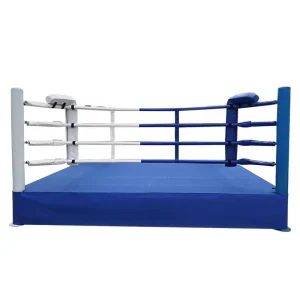 High Platform Boxing Ring with Octagon Design for Sanda Competition Training Martial Arts Self Defense Fitness Bodybuilding