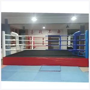 High-Quality Competition Training MMA Boxing Ring for Martial Arts and Fighting