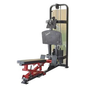 High Row Low Row Strength Training Machine