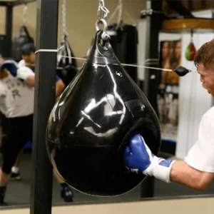 Home Gym Hanging Water Punching Bag Sandbag