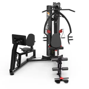 Home Gym Machine 2-Station Multi-Function Station DY-8000B
