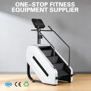 Home and Gym Climbing Machine for Aerobic Training