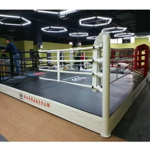 IBF Standard MMA Cage for Competition Training Octagon Fight Ring Boxing Ring
